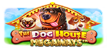 Welcome the Dog House back into your life, now with a Megaways™ twist. This updated 7×6 reel slot game brings back everything you love about The Dog House, but with 117,649 ways to win. Look for the Raining Wilds and Sticky Wilds symbols for colossal wins, now with faster, fully focused gameplay.