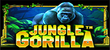 The lavishing jungle hides all sorts of mysteries in Jungle Gorilla™, the 5×3 videoslot with a special multiplier that increases the wins of the reel. This highly volatile slot takes us deep inside the wilderness where the trick to winning big is the Scatter Symbol – it increases the reel multiplier up to maximum of 5x.