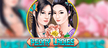Enjoy the company of captivating Chinese beauties, let the music attract you and feel the emotion of winning. This 15-line game has been enhanced with 5 stacked symbols and wild multiplier symbols to guarantee giant wins of over 1,000 times your bet.