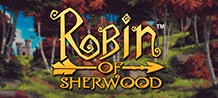 <div>Surprise yourself with this exclusive Slot inspired by the legendary story of the hero Robin Hood. <br/>
</div>
<div>This captivating game will make your mind transport itself to the era of medieval England and begin an endless adventure in the fascinating forest of Sherwood in search of great victories. <br/>
</div>
<div>Do not waste time, join this hooded hero and his Merry Men in this mission and know up to 243 ways to win incredible prizes! </div>
